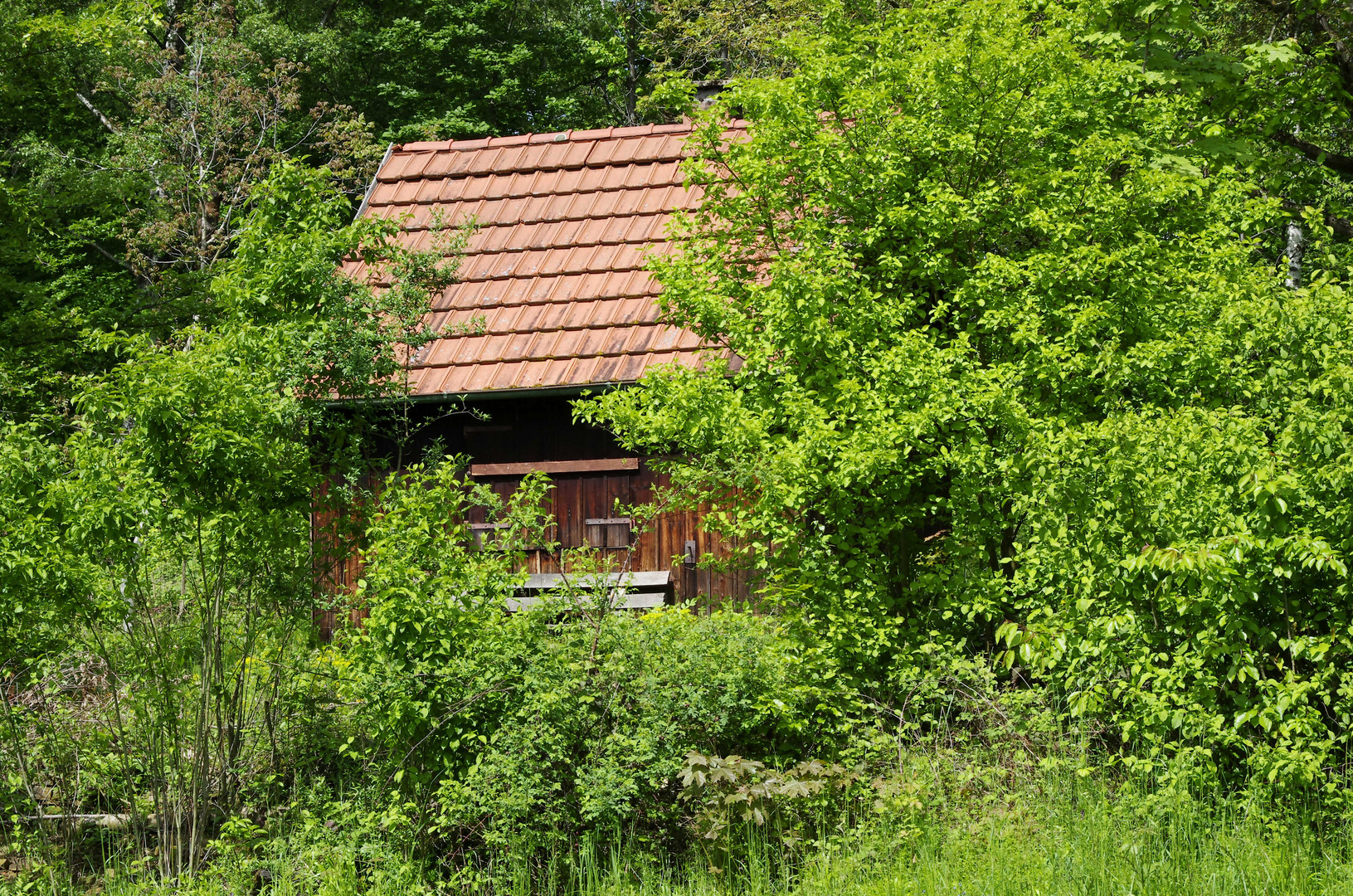 Frühling auf dem Jägerhaus