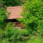 Frühling auf dem Jägerhaus