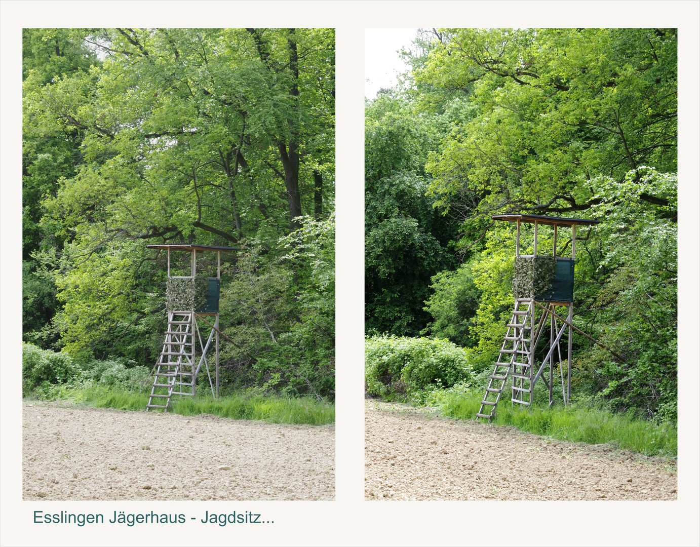 ...Frühling auf dem Jägerhaus