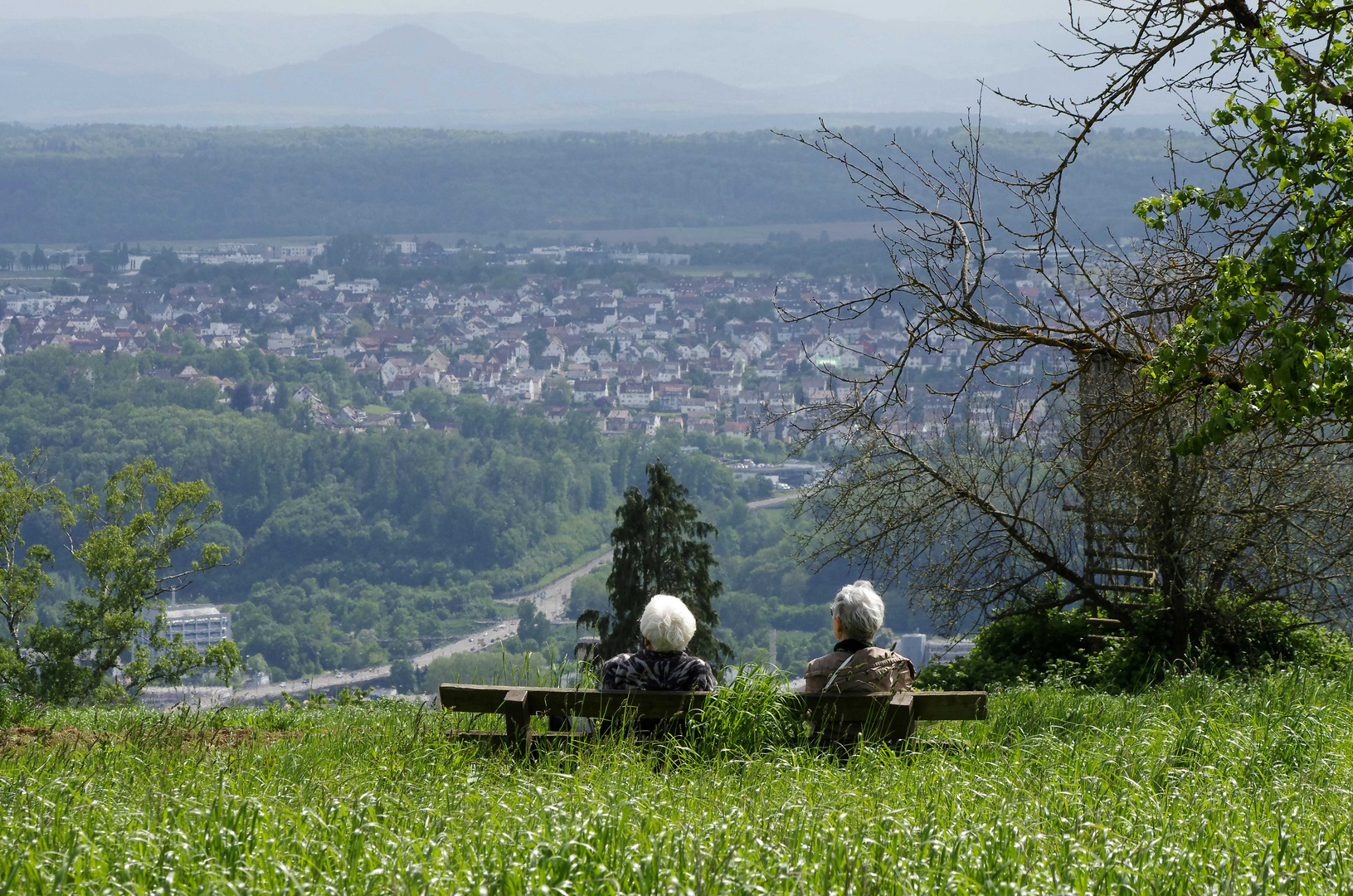 ...Frühling auf dem Jägerhaus