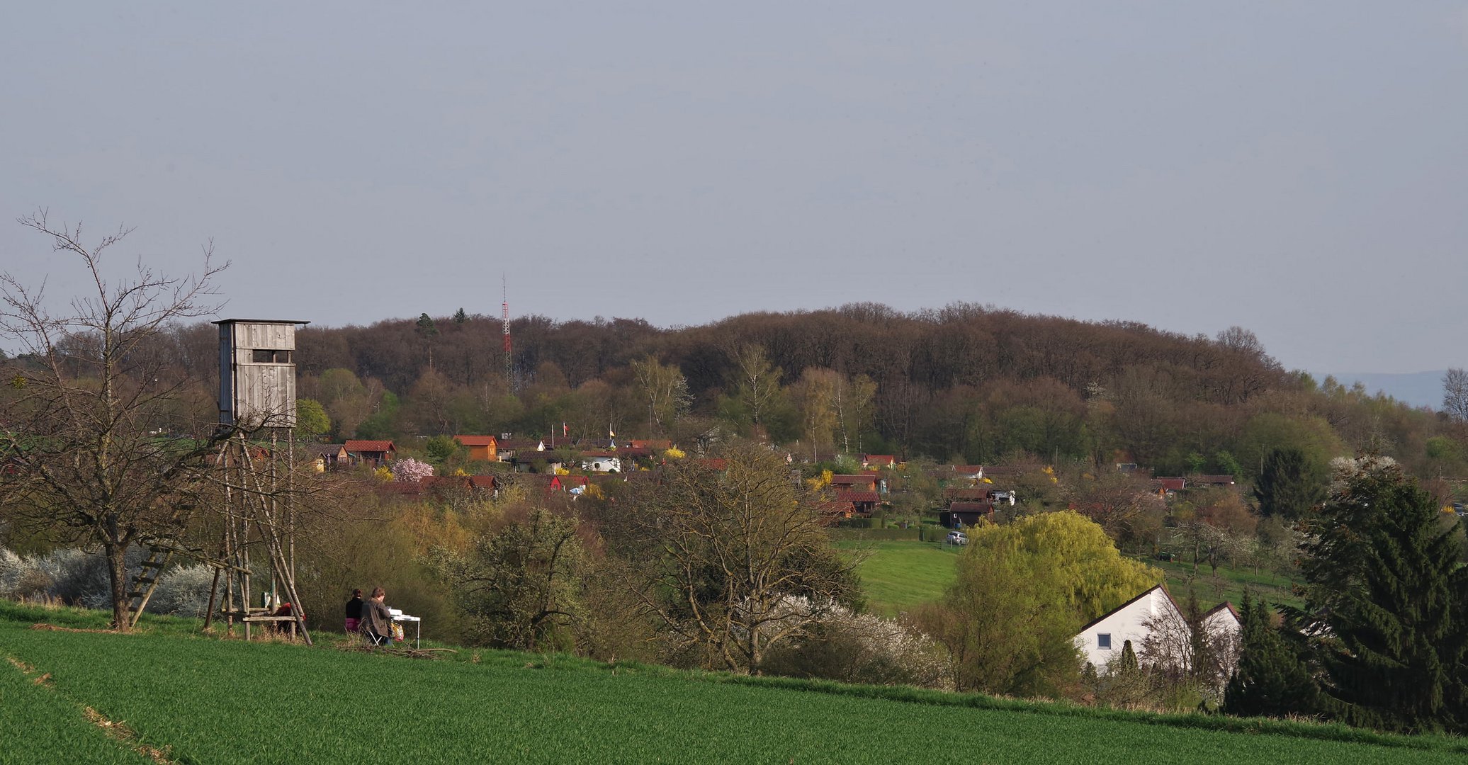 Frühling auf dem Jägerhaus...3