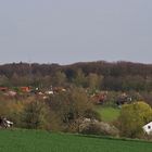 Frühling auf dem Jägerhaus...3