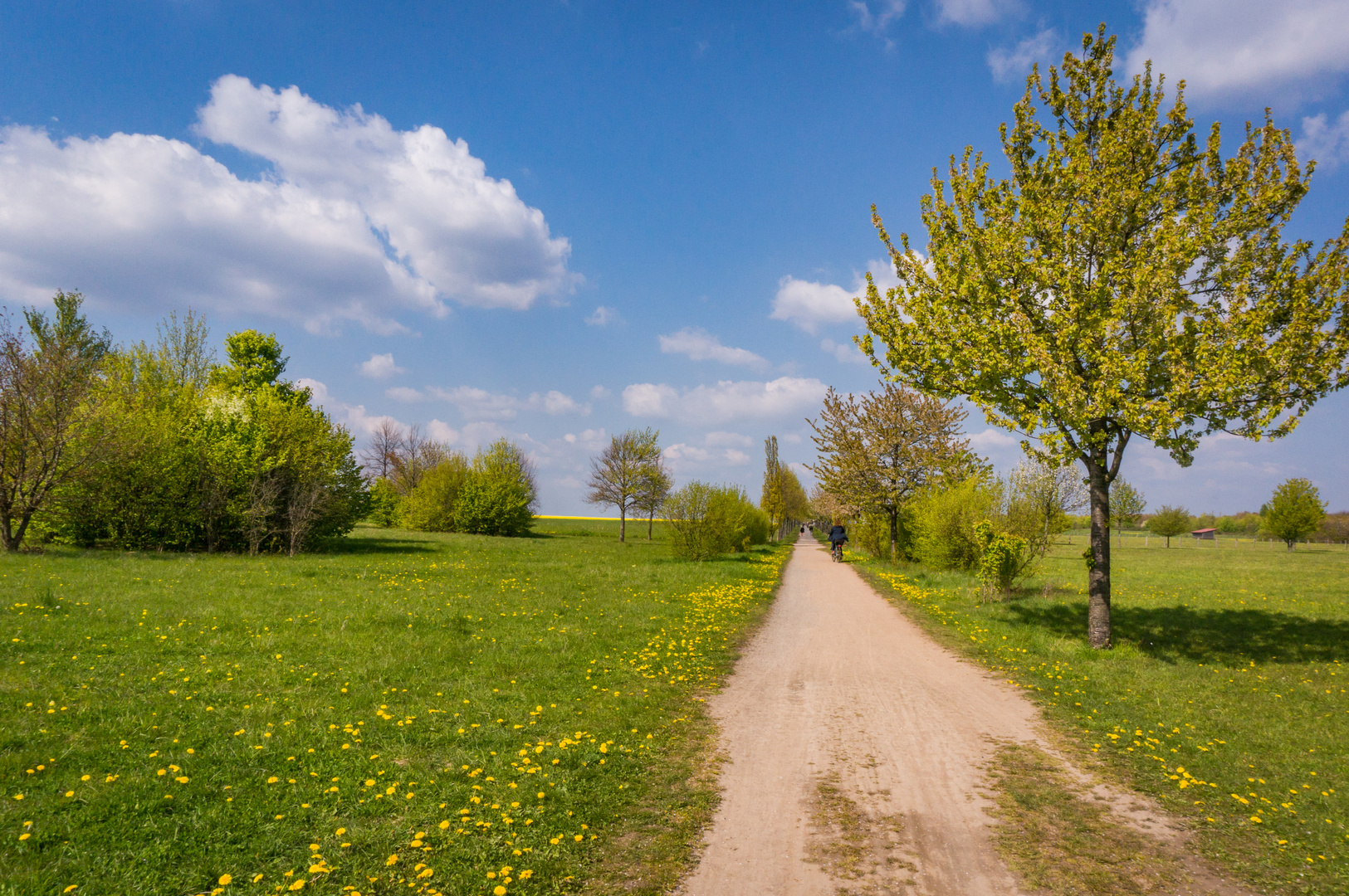 Frühling auf dem Kronsberg IV - Hannover