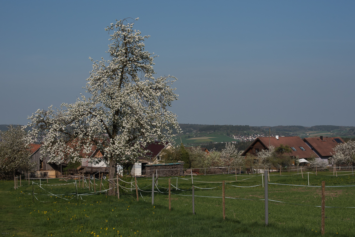 Frühling auf dem Land