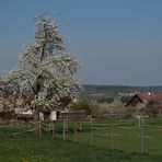 Frühling auf dem Land