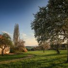 Frühling auf dem Land