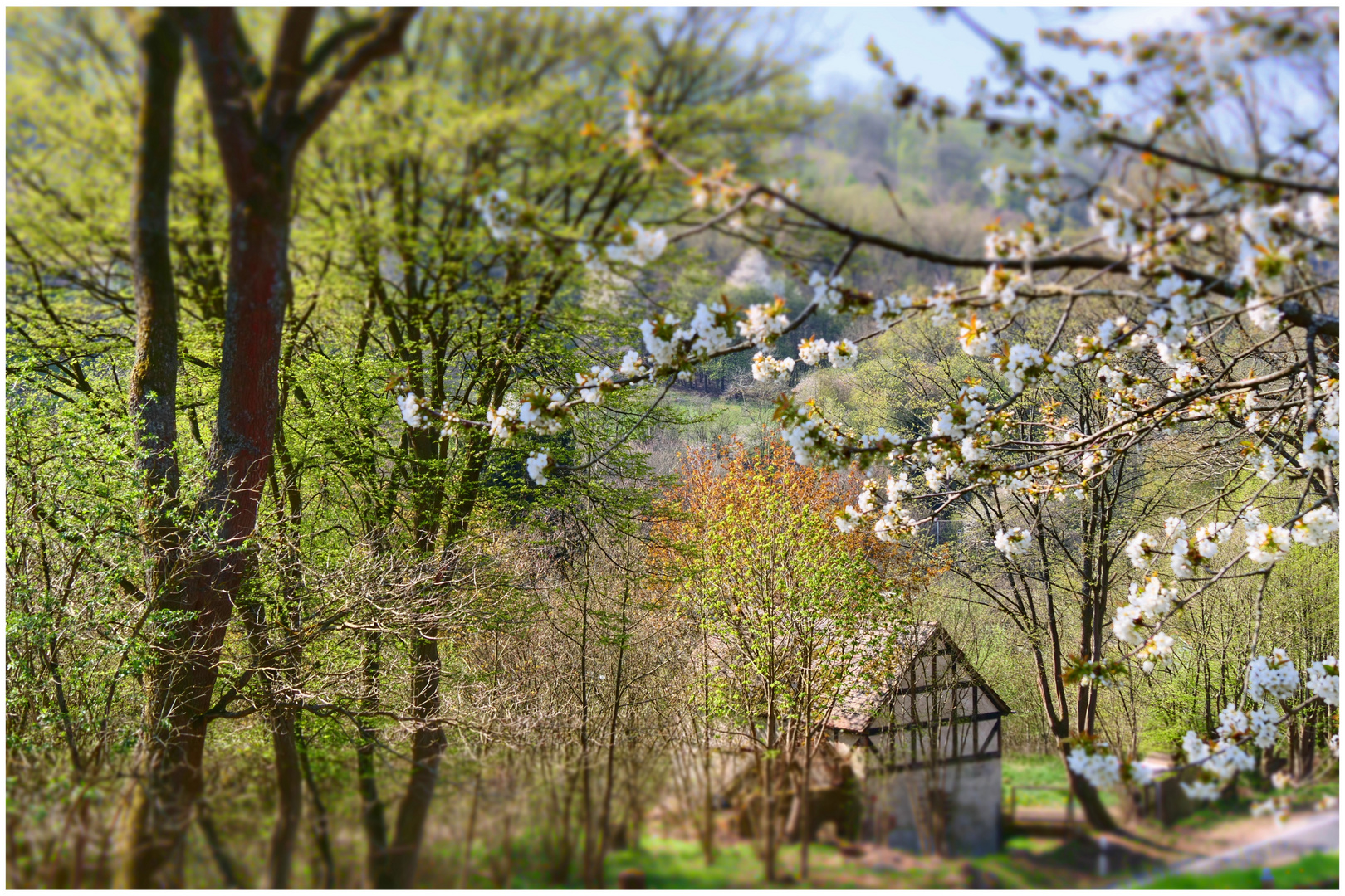 Frühling auf dem Land