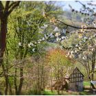 Frühling auf dem Land