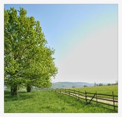 Frühling auf dem Land