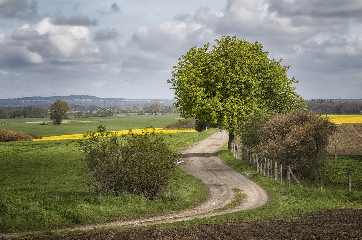 Frühling auf dem Land