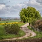 Frühling auf dem Land