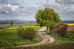 Frühling auf dem Land