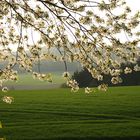 Frühling auf dem Land