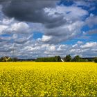 Frühling auf dem Land