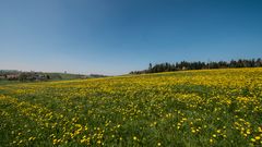 Frühling auf dem Lande