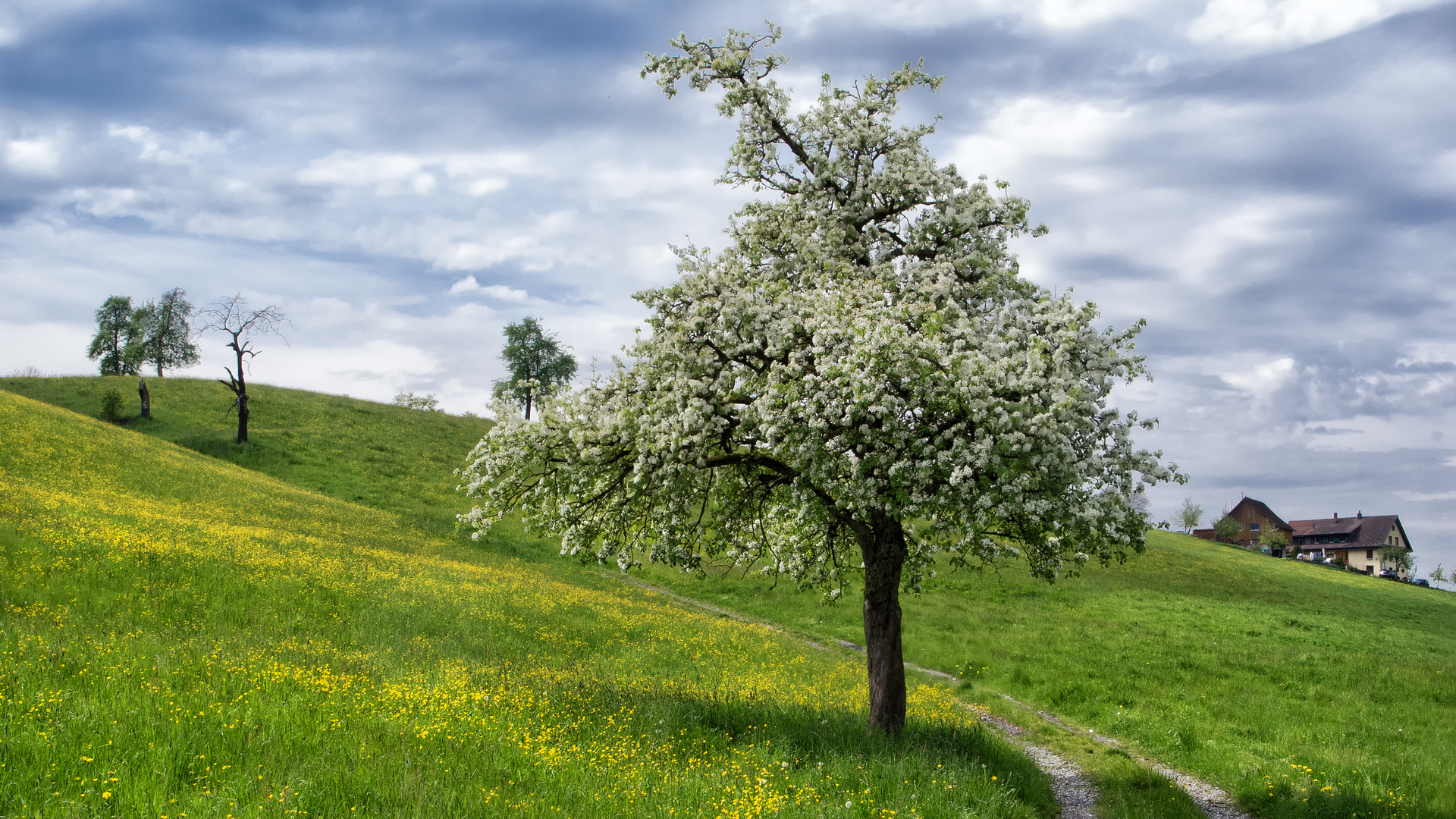 Frühling auf dem Lande