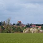 Frühling auf dem Lande