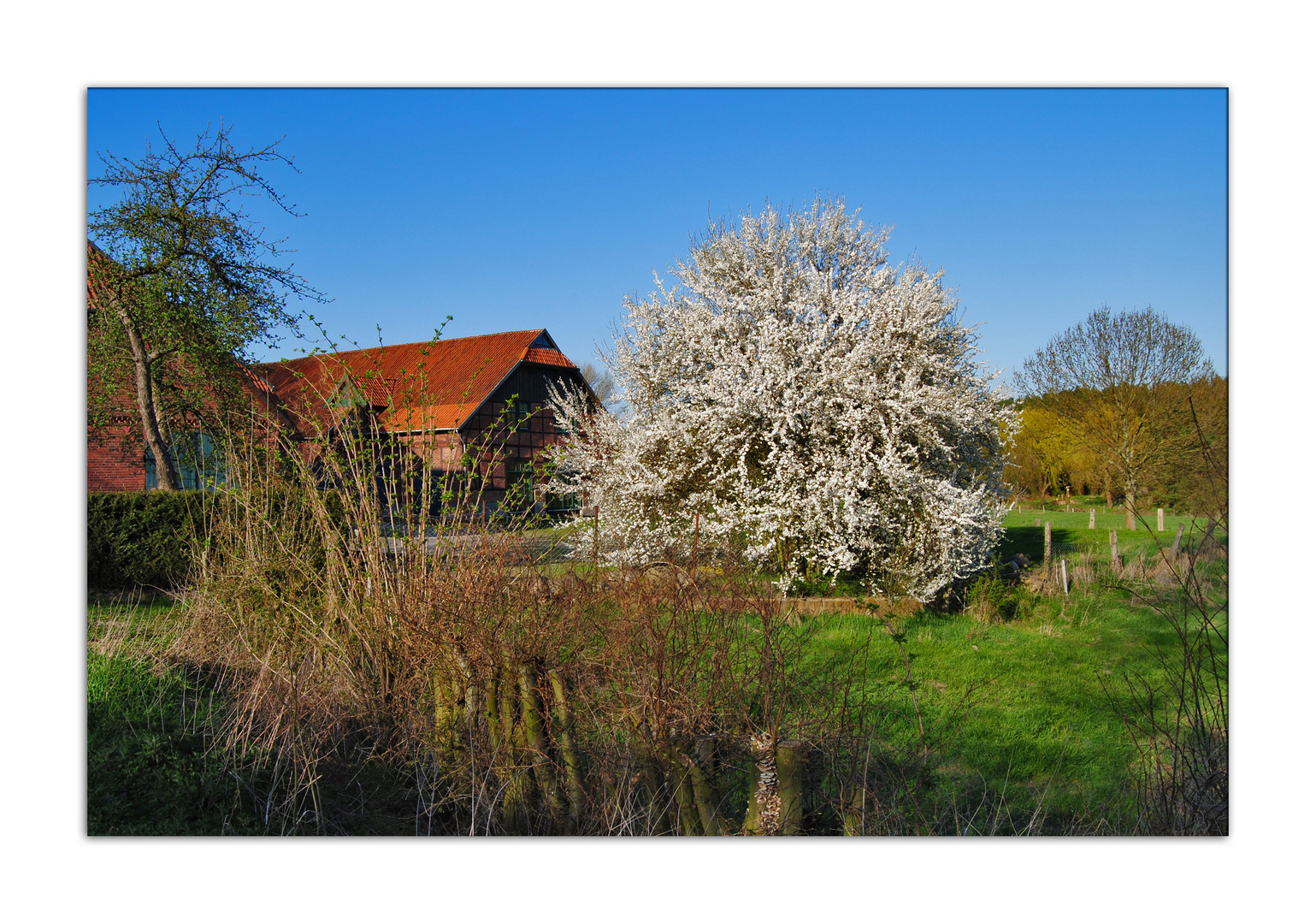 Frühling auf dem Lande