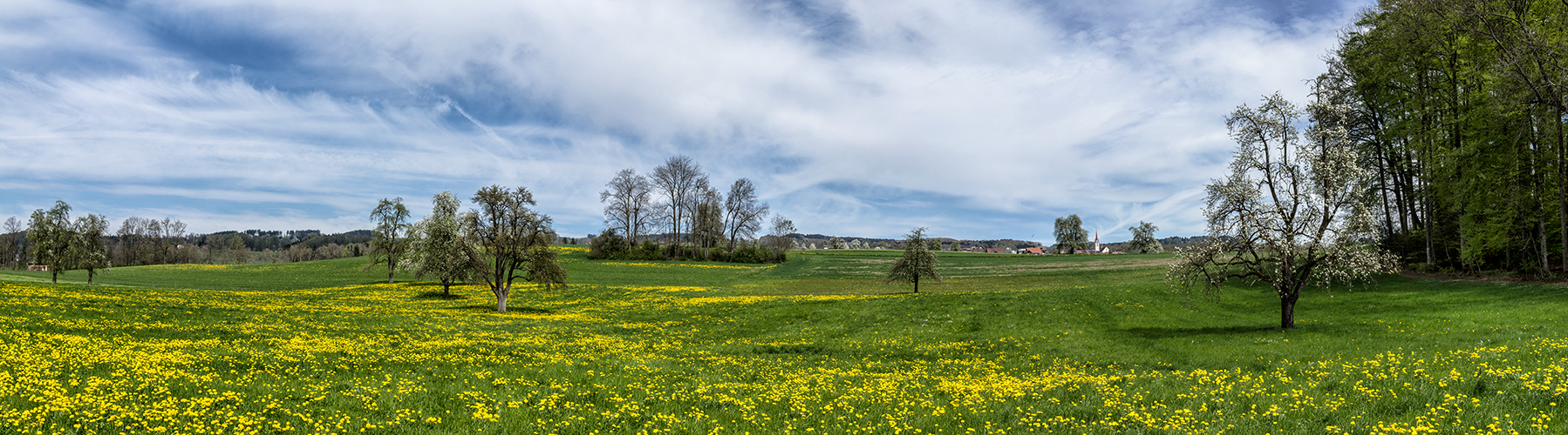 Frühling auf dem Lande