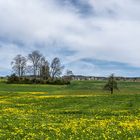 Frühling auf dem Lande