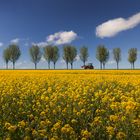 Frühling auf dem Lande