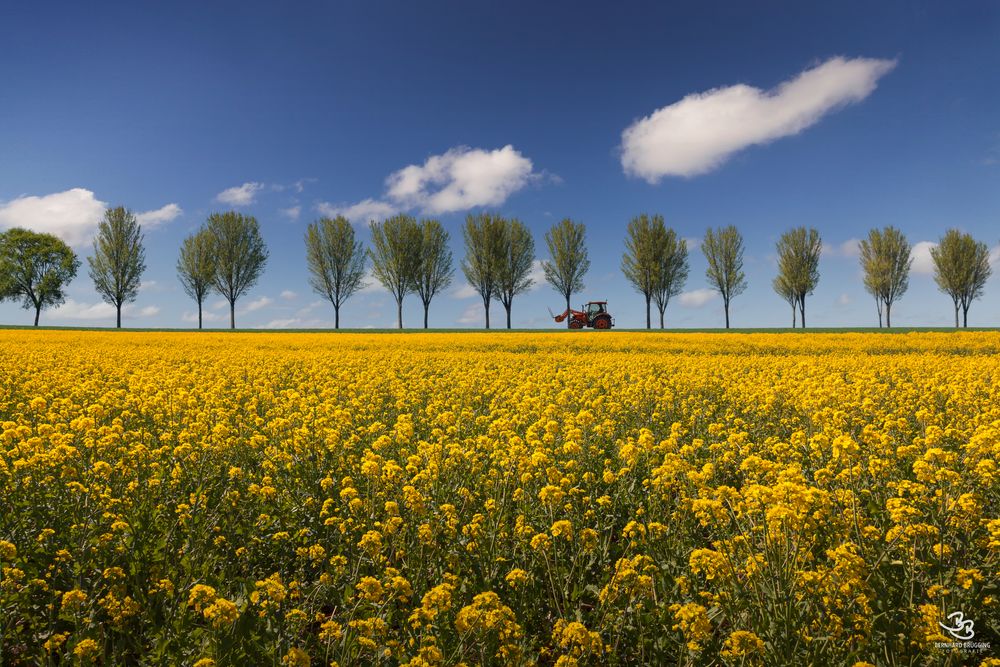 Frühling auf dem Lande