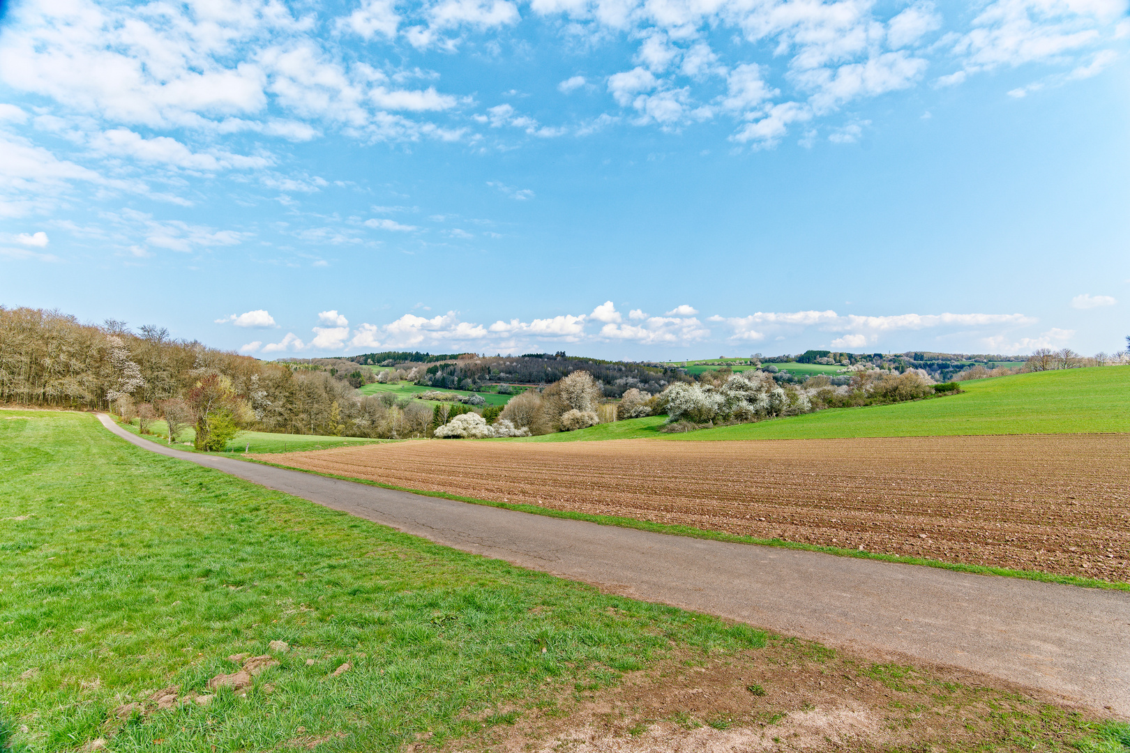 Frühling auf dem Ottweiler Flur  (2)