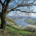 Frühling auf dem Rheinsteig von Erpel bis Linz