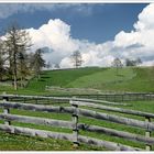 Frühling auf dem Salten