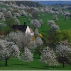 Frühling auf dem Schönberg