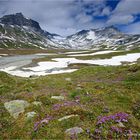 Frühling auf dem Segnesboden