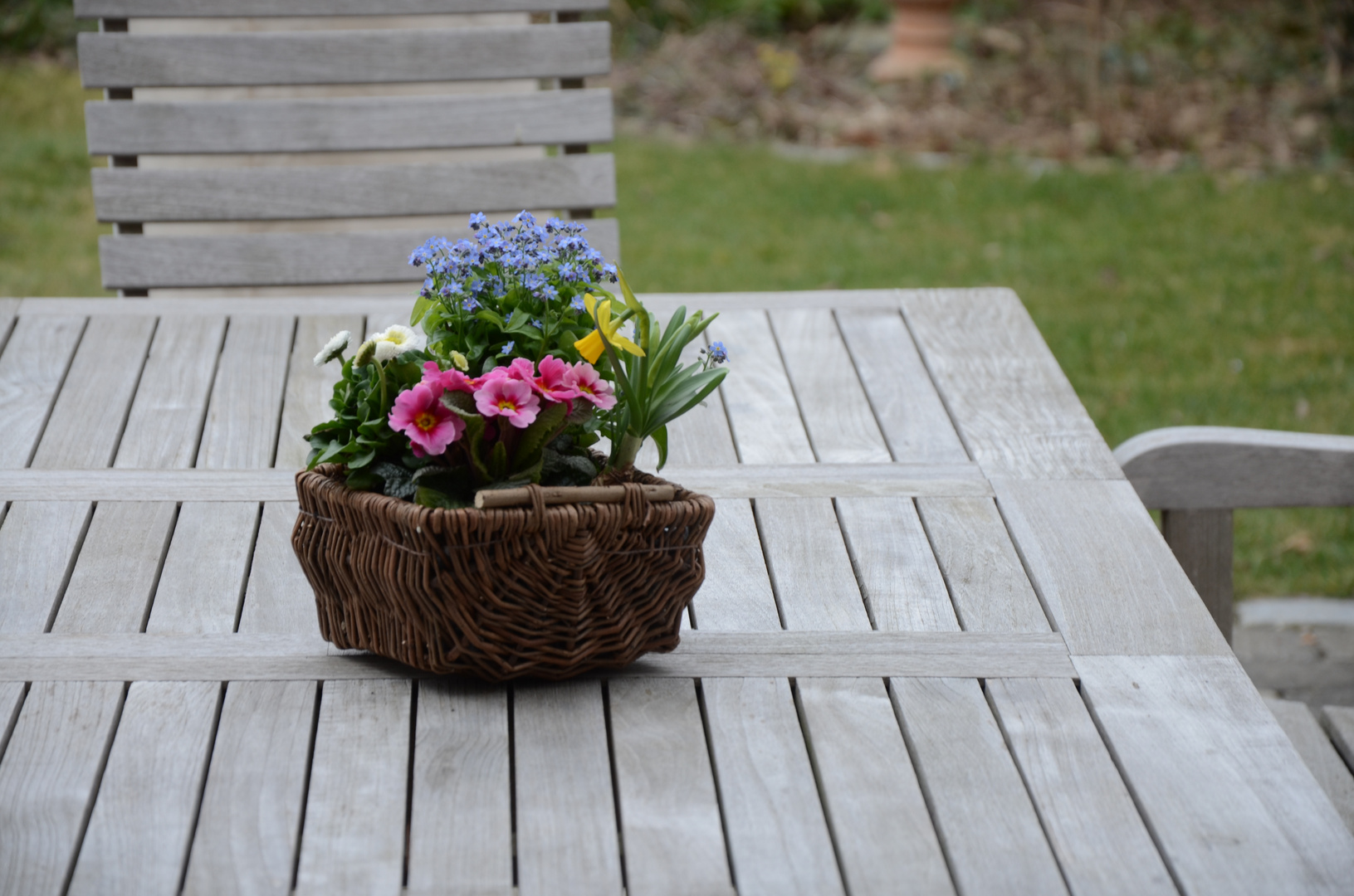 Frühling auf dem Tisch