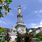 Frühling auf dem Walther-Platz in Bozen...