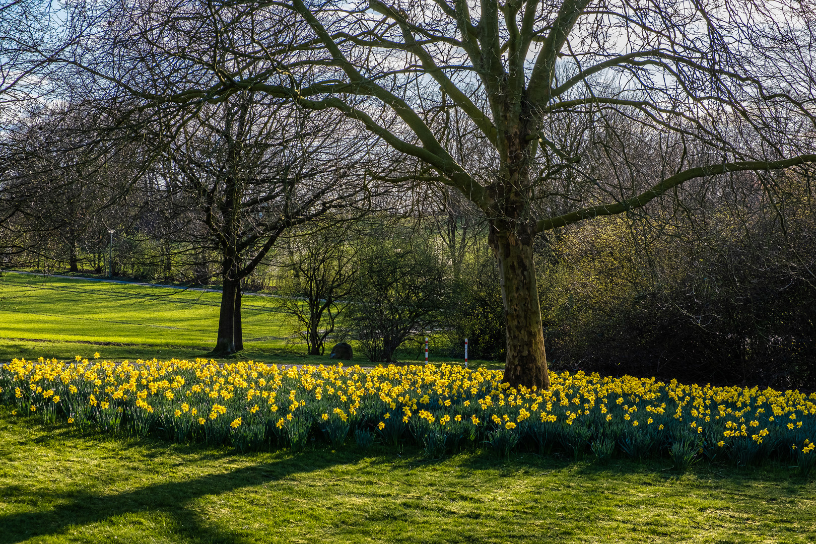 Frühling auf dem Westerberg