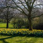 Frühling auf dem Westerberg