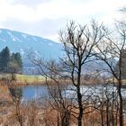 Frühling auf den Bergen ?