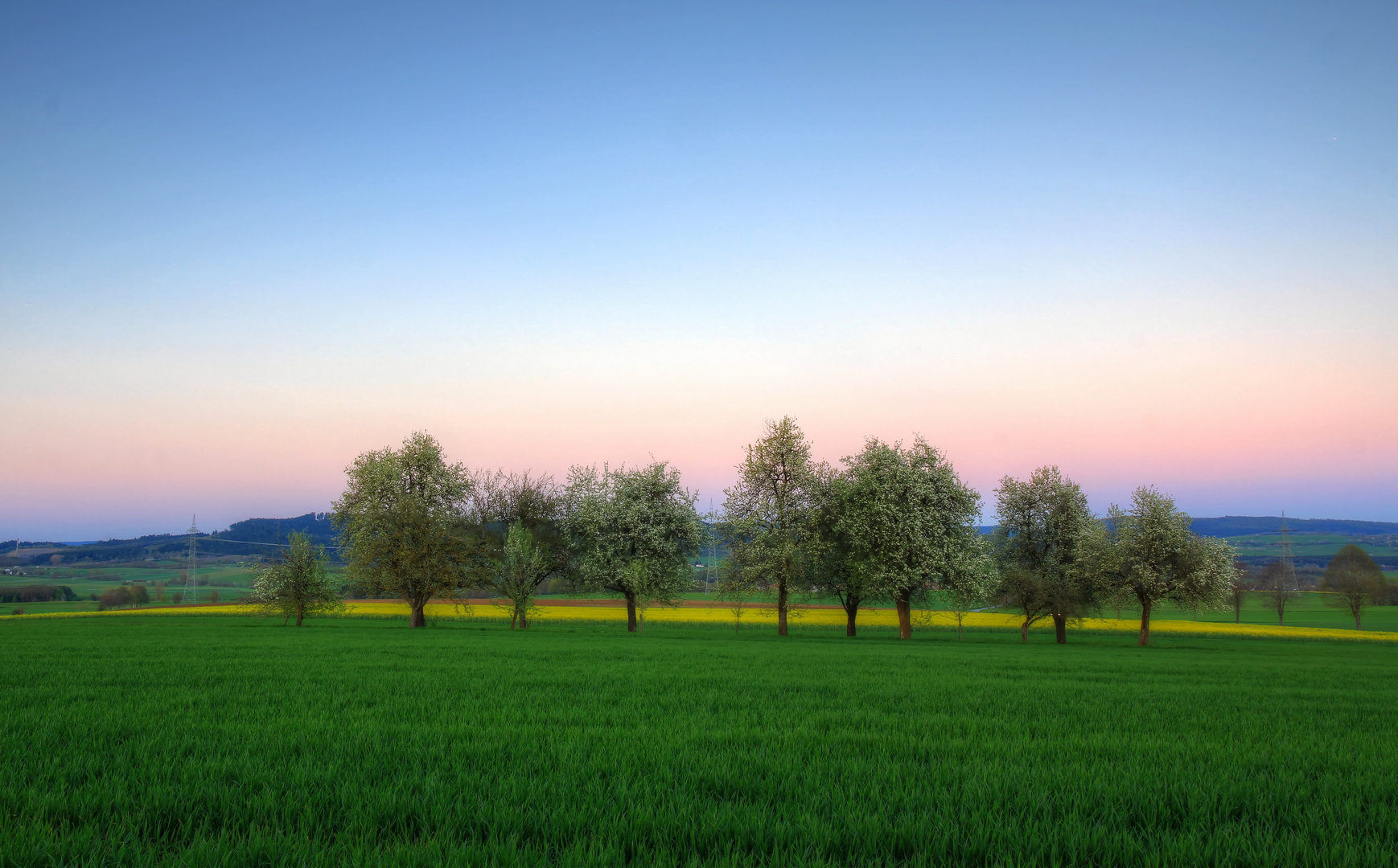 Frühling auf den Feldern