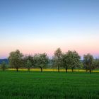 Frühling auf den Feldern