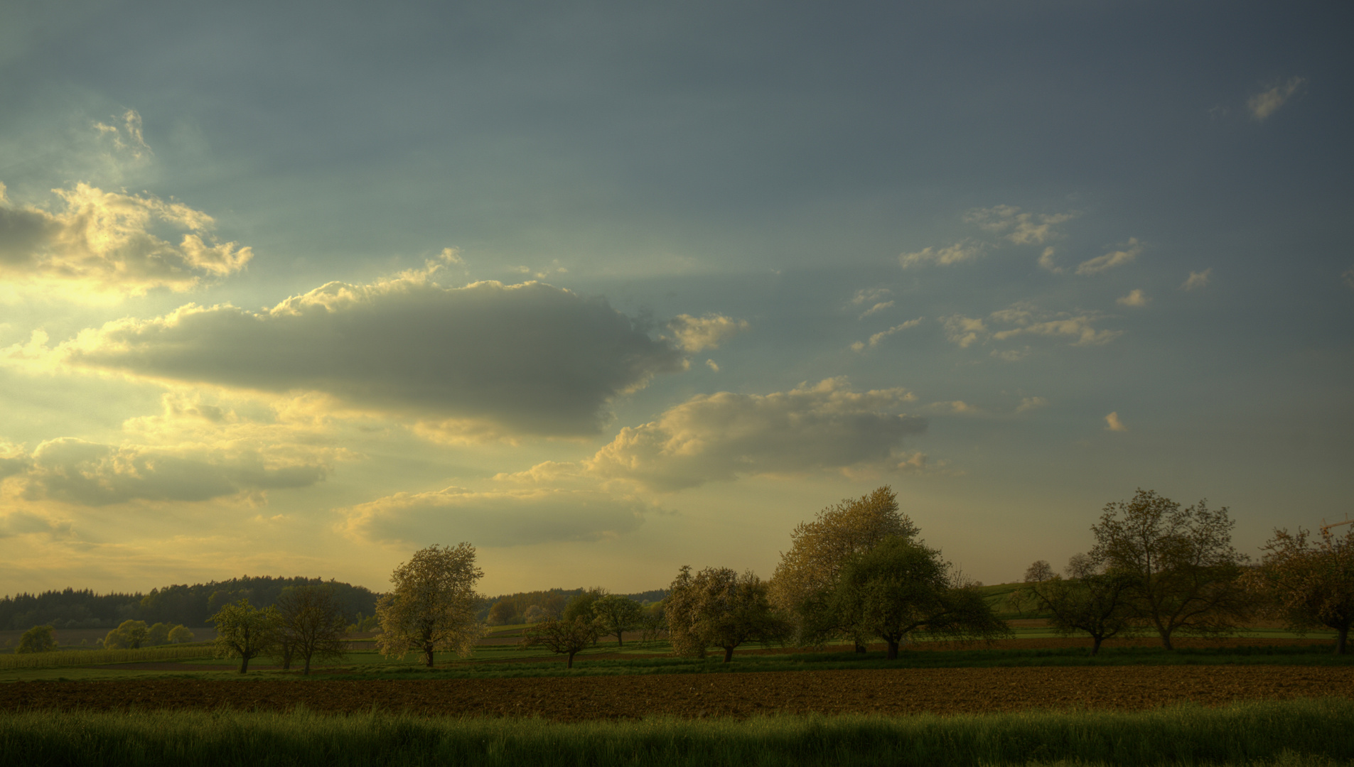 Frühling auf den Feldern