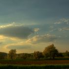 Frühling auf den Feldern