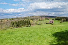 Frühling auf den Hangarder Wiesen  (4)