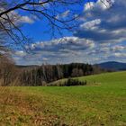 frühling auf den weiden