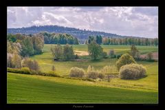 Frühling auf den Wiesen