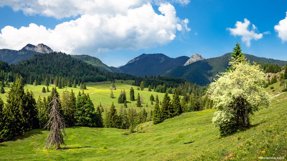 Frühling auf der Alm