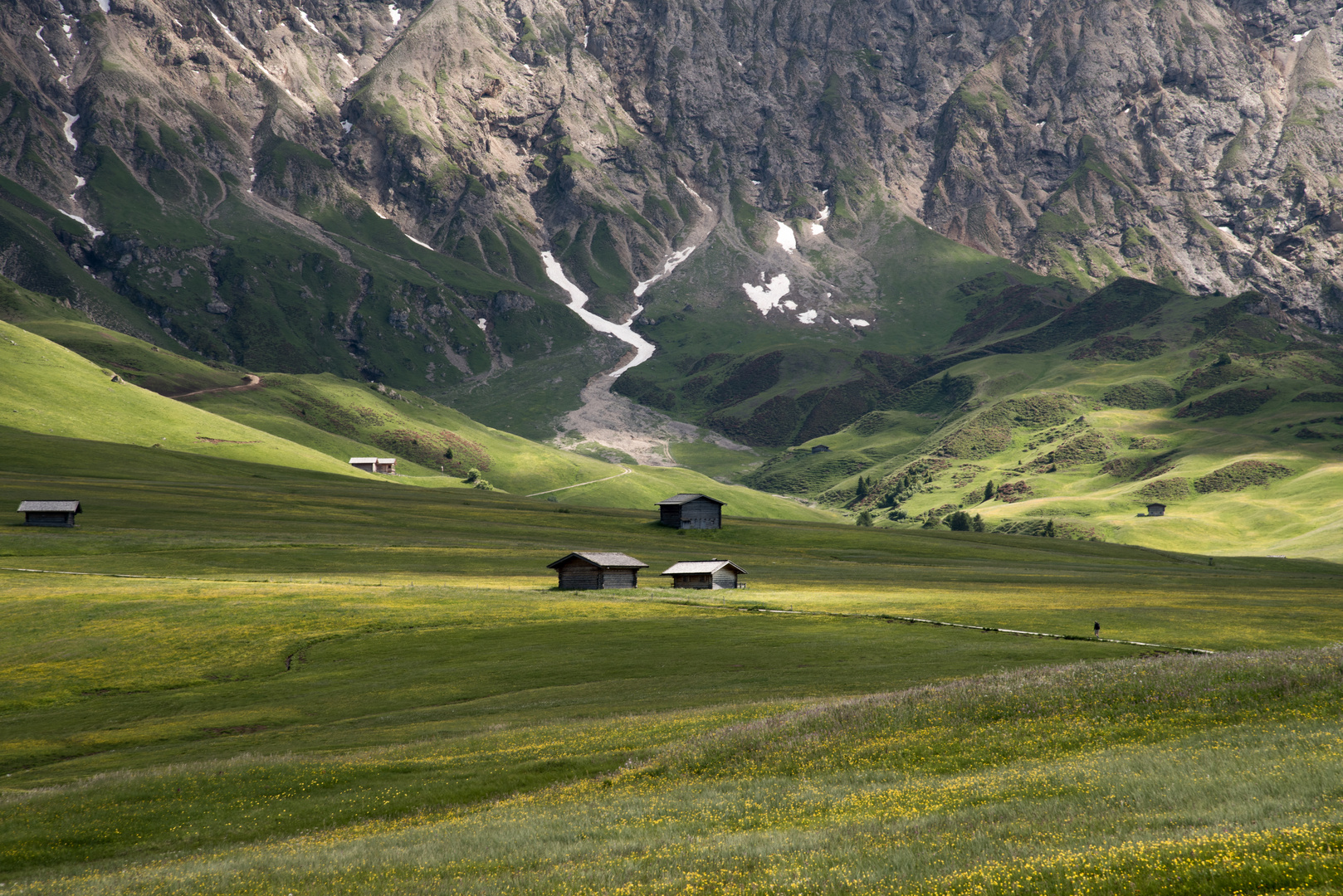 Frühling auf der Alm