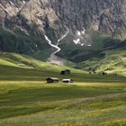 Frühling auf der Alm