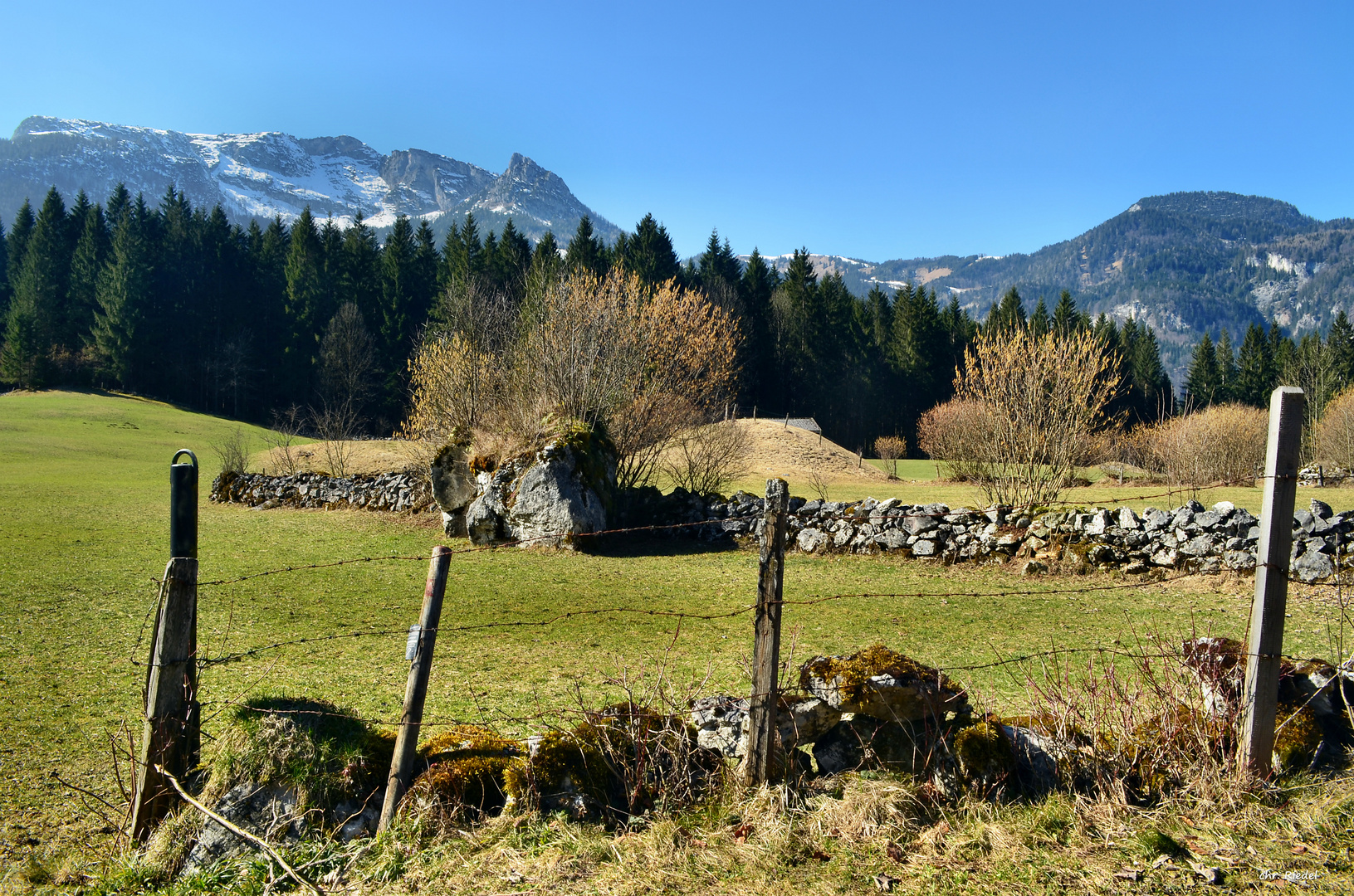 Frühling auf der Alm