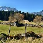 Frühling auf der Alm