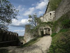 Frühling auf der Burg