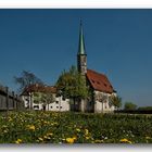 Frühling auf der Burg...